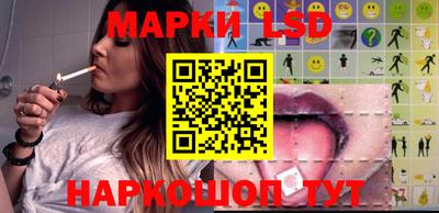 гидропоника Камышлов