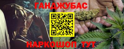 гашик Кингисепп