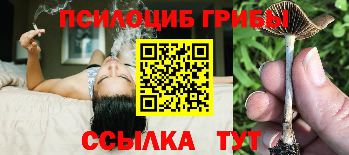 дарнет шоп  Псилоцибиновые грибы мухоморы  Вход с VPN  Аксай  Галлюциногенные грибы GOLDEN TEACHER 
